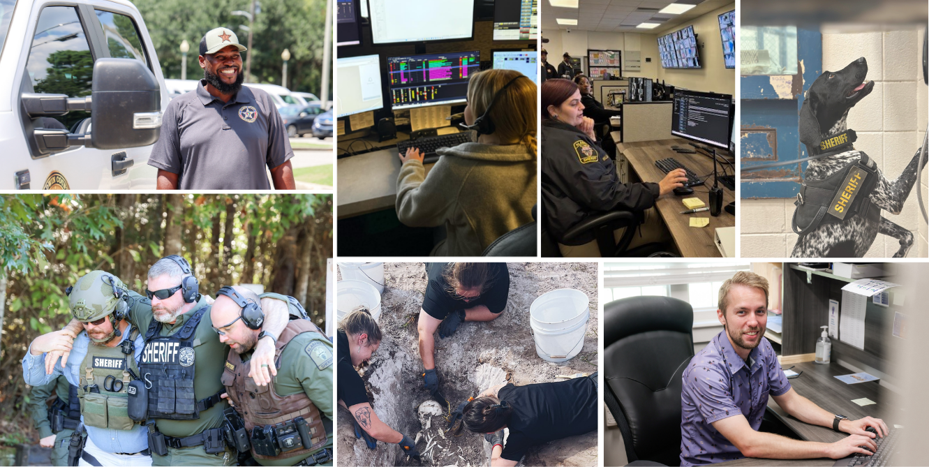 employees of the sheriff's office in different divisions