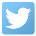 Twitter Twitter link
